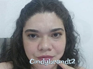 Cindybrandt2