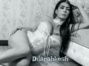 Dilarahkesh