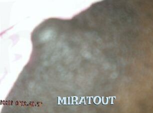 MIRATOUT