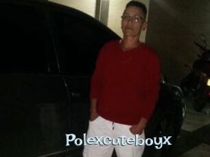 Polexcuteboyx