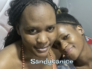 Sandycanice