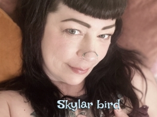 Skylar_bird