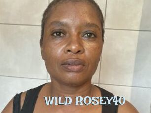 WILD_ROSEY40